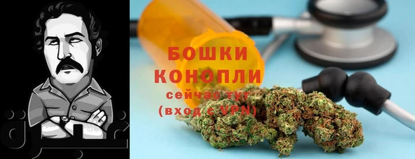 гидра Алзамай