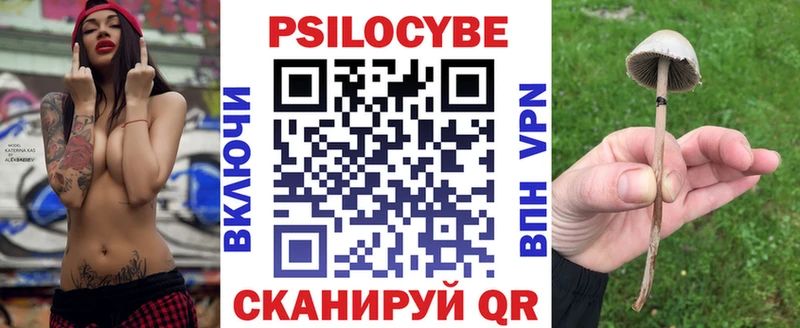 Псилоцибиновые грибы Psilocybe Лесосибирск