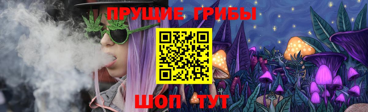 Псилоцибиновые грибы мицелий Лесосибирск